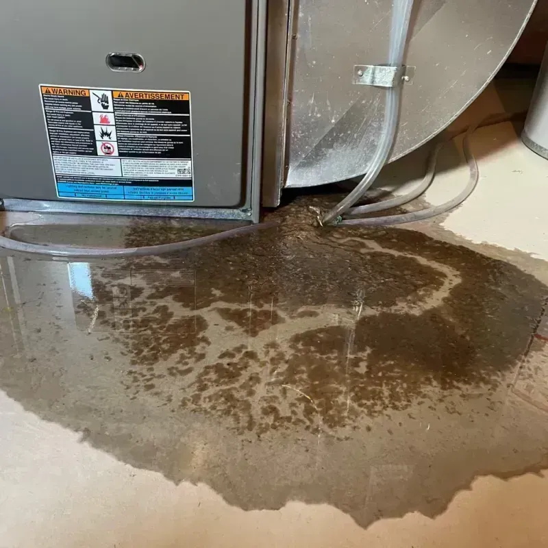 Appliance Leak Cleanup in Wabasha, MN